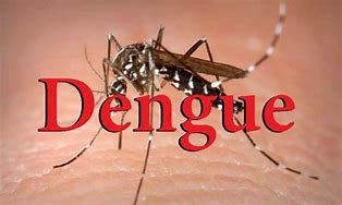 Brasil bate recorde histórico com 1.116 mortes por dengue