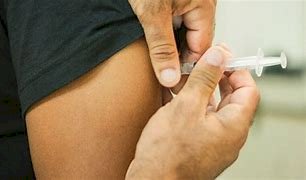 Saúde alerta para vigilância e imunização contra febre amarela